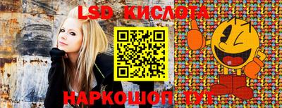 ПСИЛОЦИБИНОВЫЕ ГРИБЫ Ставрополь