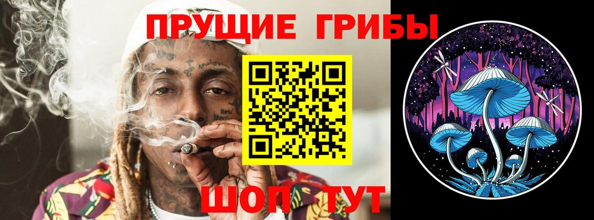 Бор  Псилоцибиновые грибы прущие грибы  Галлюциногенные грибы Psilocybe  купить закладку  Вход с VPN 